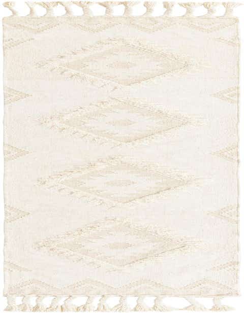 A 10 ft ivory runner rug with a cream Southwestern tribal pattern and braided tassels, perfect for a hallway.