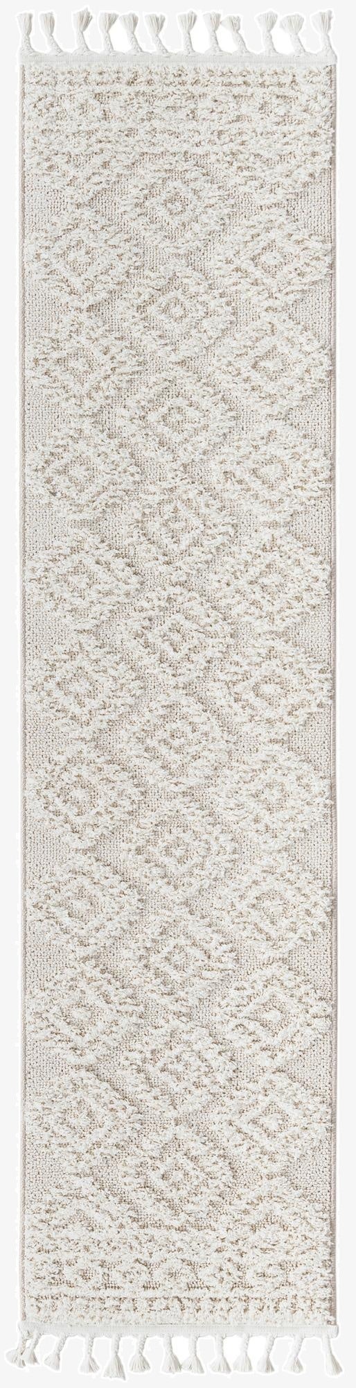  2' x 8' Boho Runner Rug