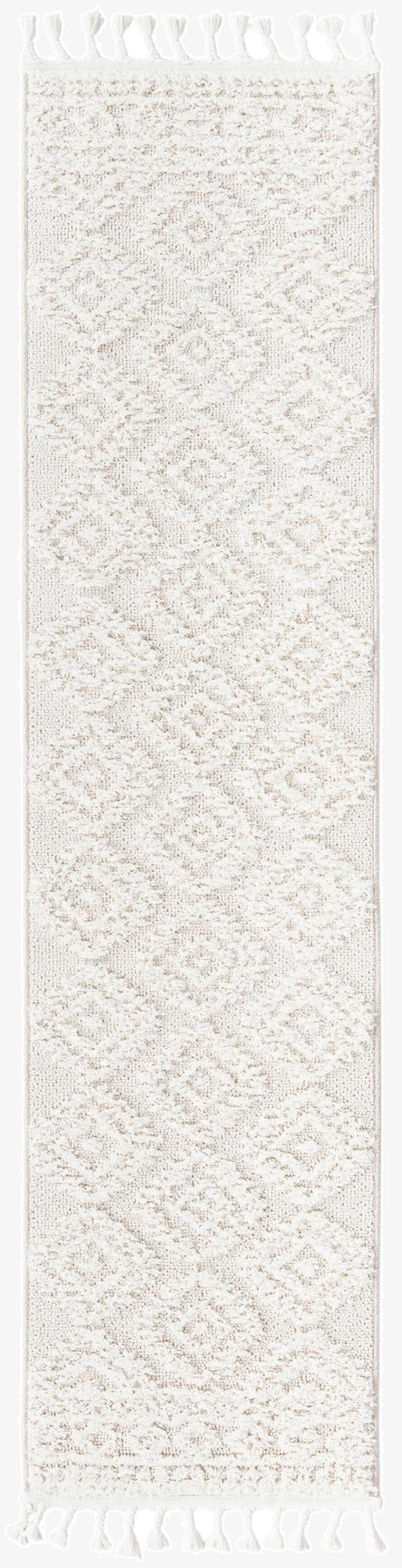  2' x 6' Boho Runner Rug