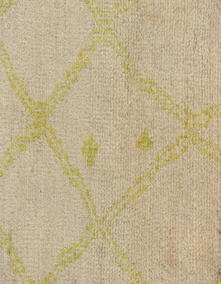 Detail image of  2' 4 x 9' 10  Hand Knotted Darya Wool Runner Rug