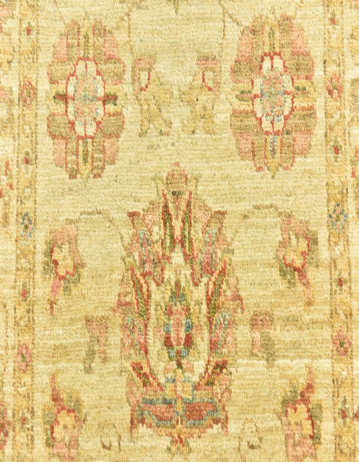 Detail image of  2' 8 x 9' 7  Hand Knotted Peshawar Ziegler Runner Rug