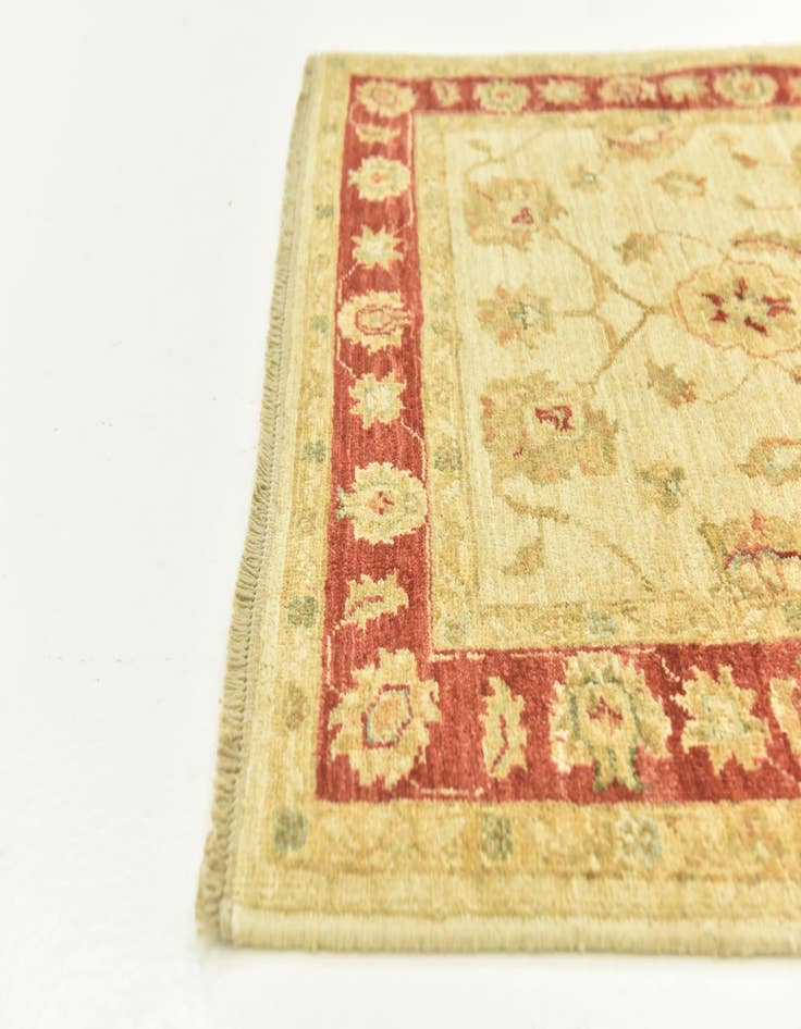 Detail image of  3' x 8'  Hand Knotted Peshawar Ziegler Runner Rug