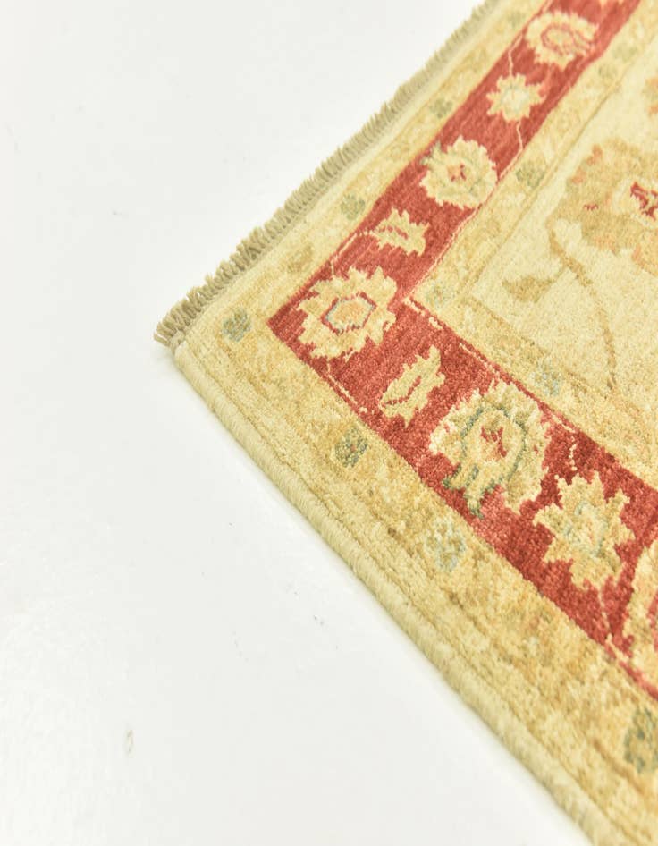 Detail image of  3' x 8'  Hand Knotted Peshawar Ziegler Runner Rug