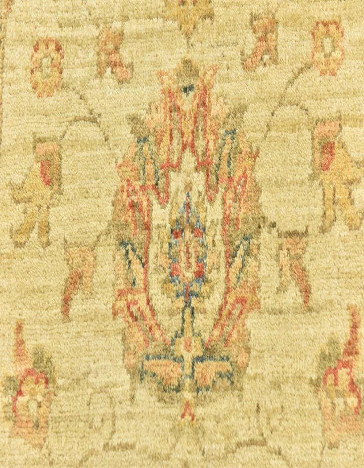 Detail image of  2' 9 x 6' 5  Hand Knotted Peshawar Ziegler Runner Rug