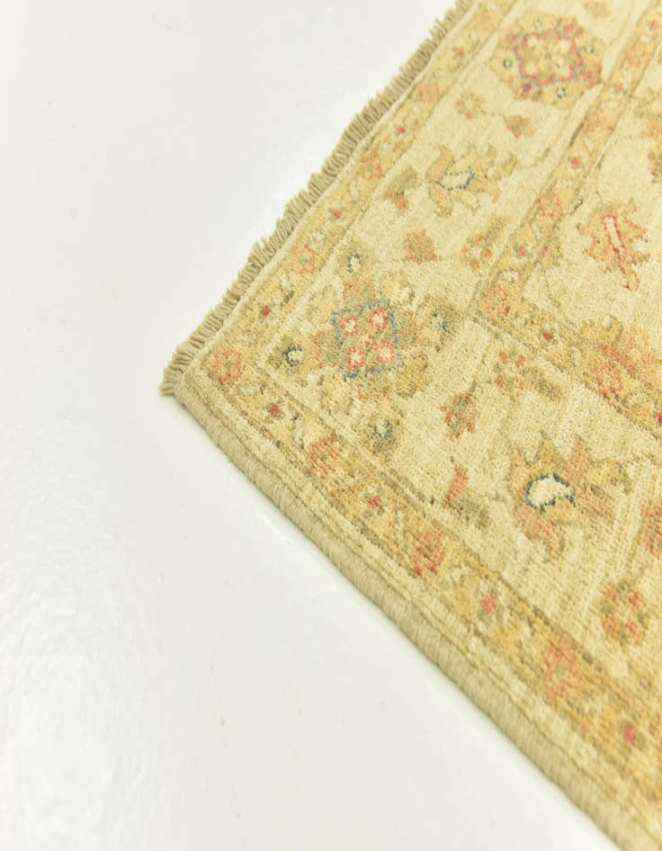 Detail image of  2' 9 x 6' 5  Hand Knotted Peshawar Ziegler Runner Rug