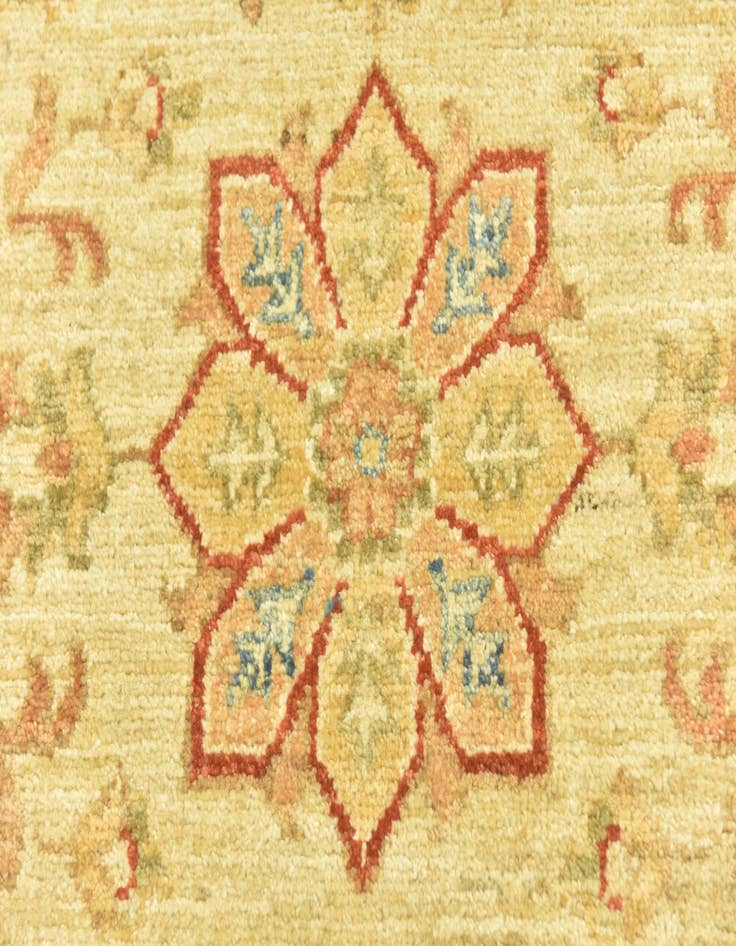 Detail image of  2' 7 x 6' 6  Hand Knotted Peshawar Ziegler Runner Rug