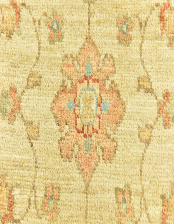 Detail image of  2' 6 x 6' 7  Hand Knotted Peshawar Ziegler Runner Rug