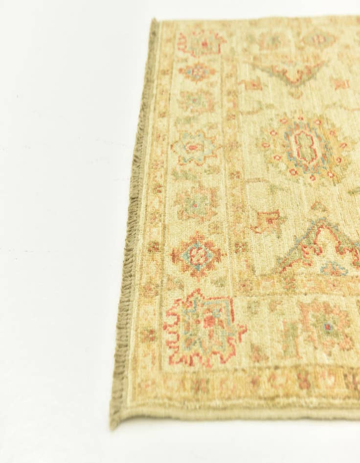 Detail image of  2' 6 x 6' 7  Hand Knotted Peshawar Ziegler Runner Rug