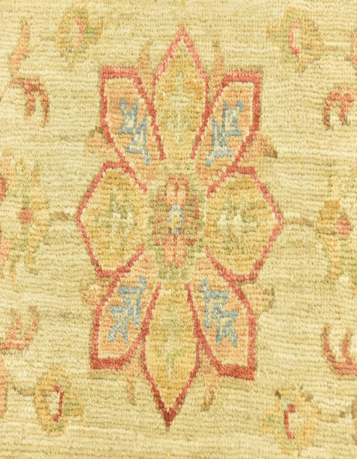 Detail image of  2' 6 x 6' 7  Hand Knotted Peshawar Ziegler Runner Rug