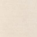 Rug Ivory Swatch link