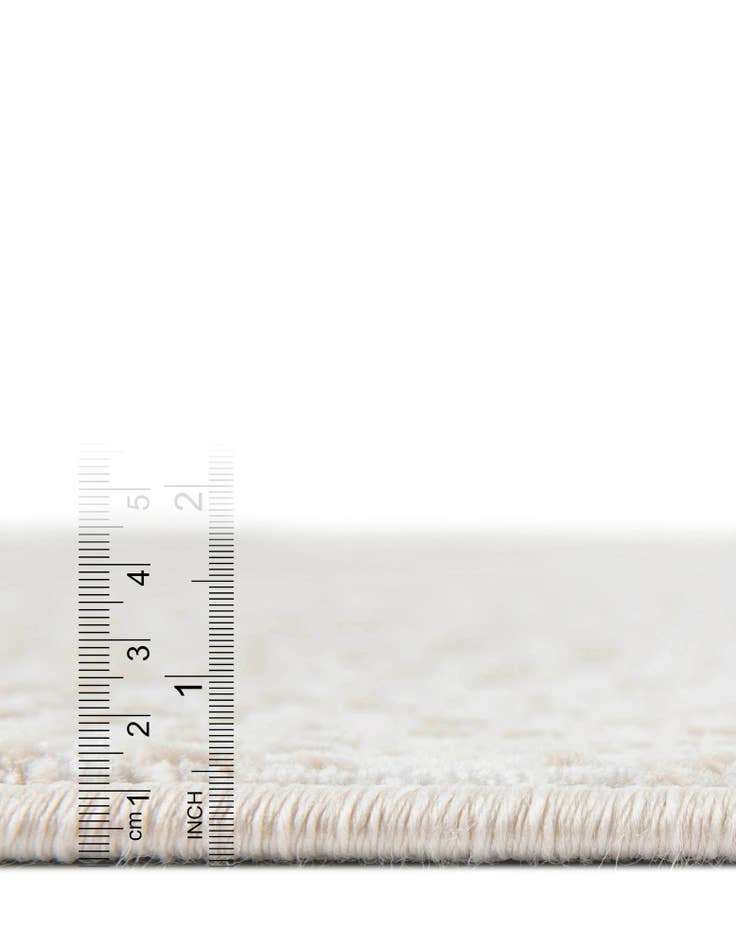 Detail image of  4' x 6' Aakaar Rug