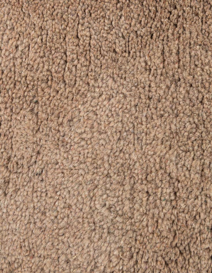 Detail image of  4' 2 x 6' 1  Hand Knotted Tibet Wool Rug