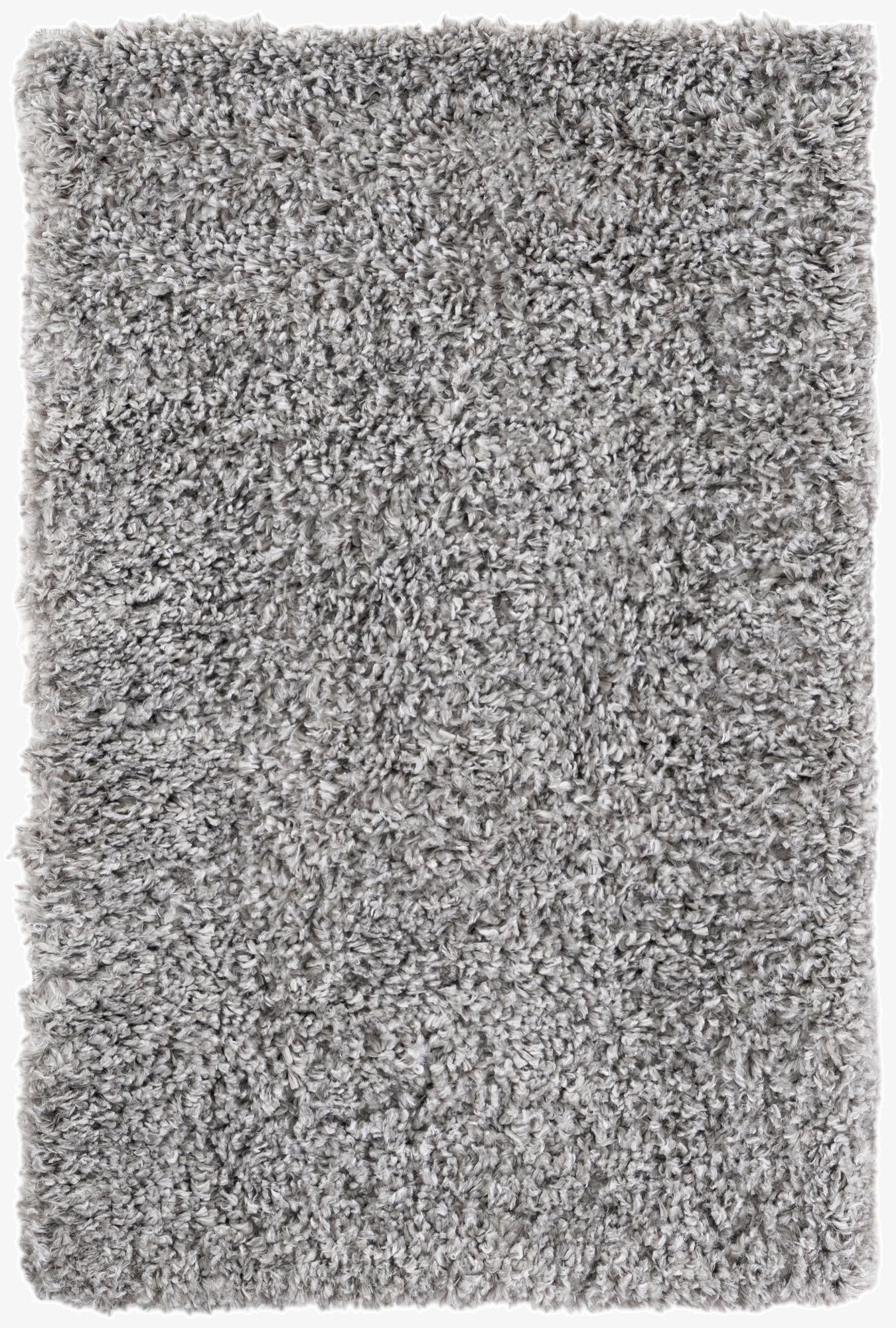  2' x 3' Zermatt Shag Rug