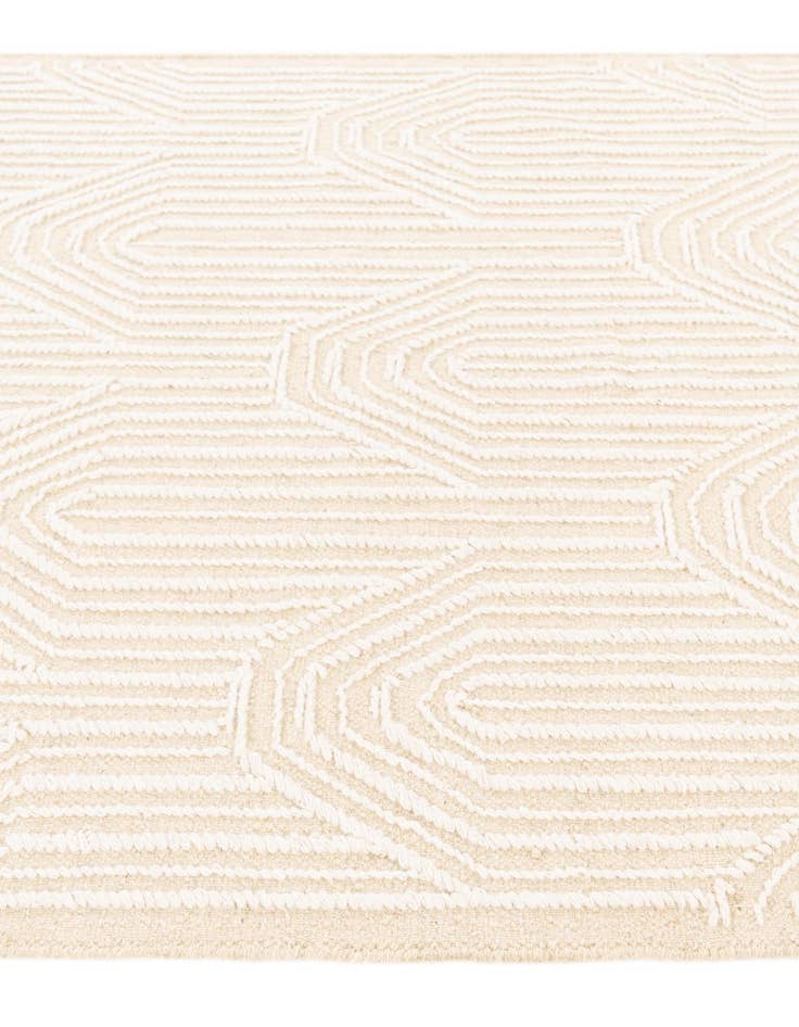 Detail image of  4' 1 x 6' 2  Hand Woven  Rug