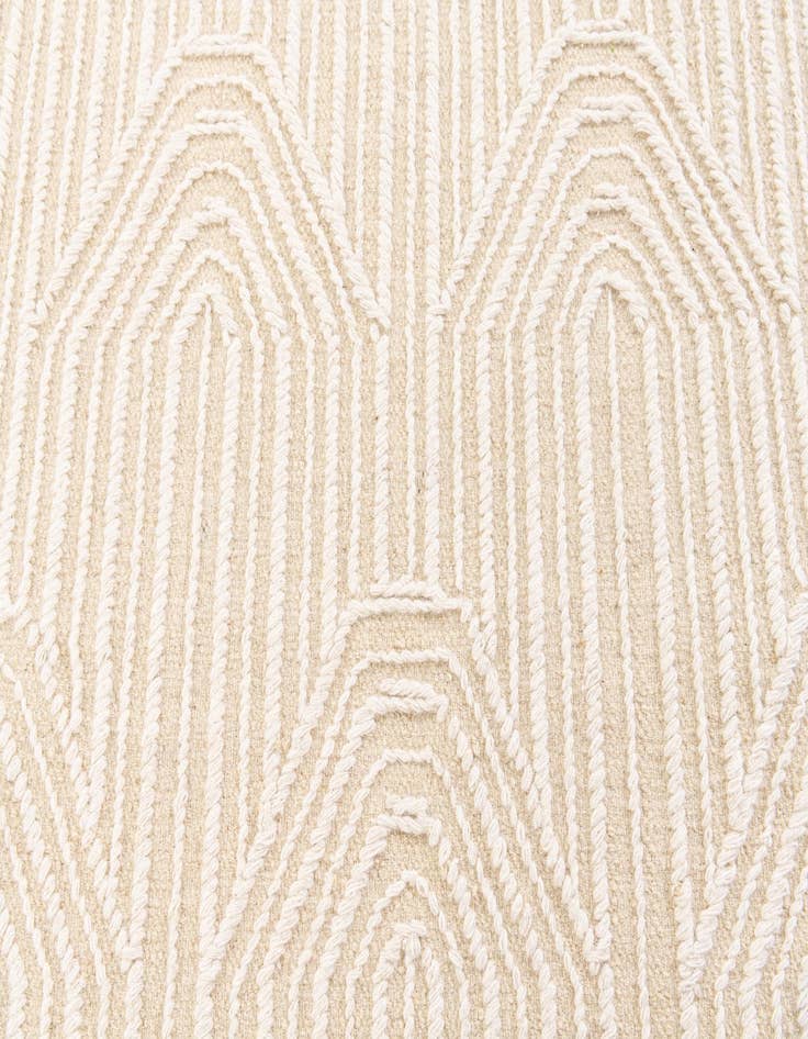 Detail image of  4' 1 x 6' 2  Hand Woven  Rug