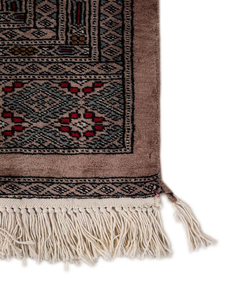 Detail image of  8' 3 x 9' 11  Hand Knotted Bokhara Oriental Wool Rug