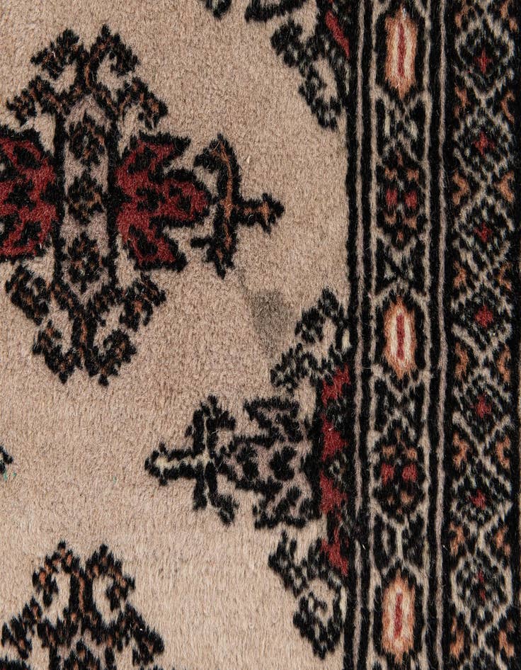 Detail image of  3' 1 x 4' 9  Hand Knotted Bokhara Oriental Wool Rug