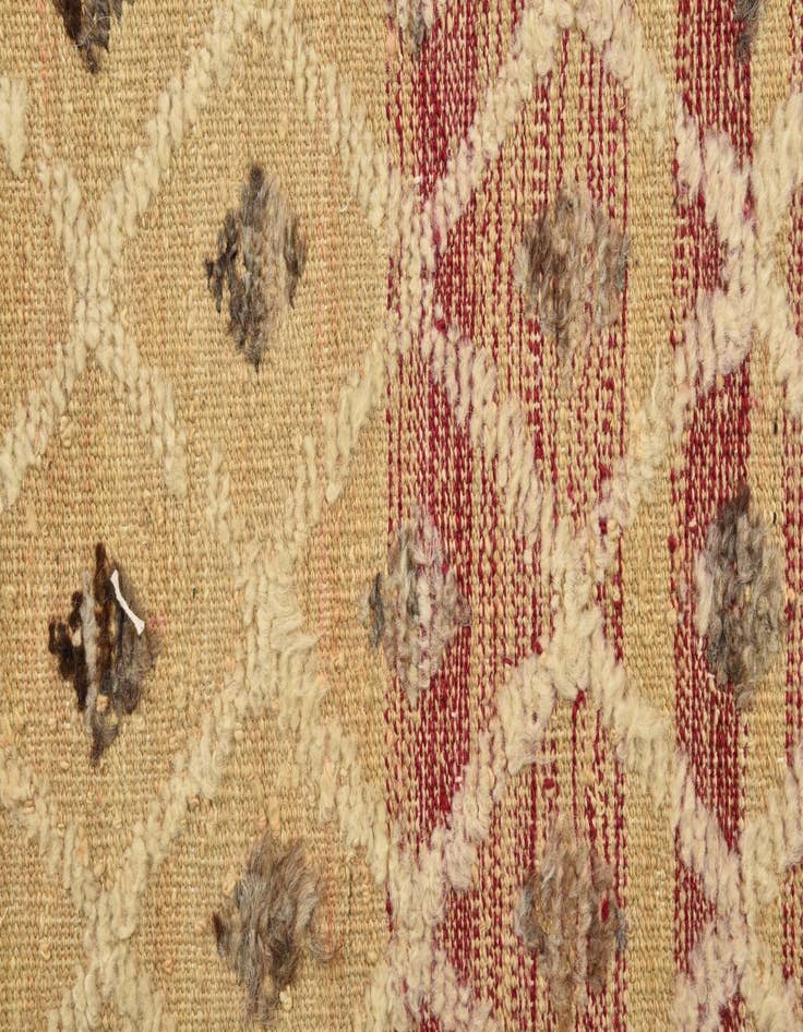 Detail image of  6' 6 x 9' 10  Hand Knotted Darya Wool Rug