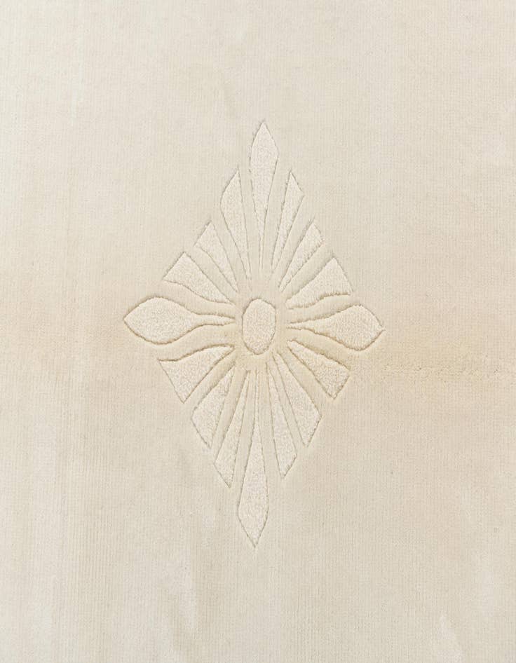 Detail image of  6' 10 x 9' 7  Hand Knotted Darya Wool Rug