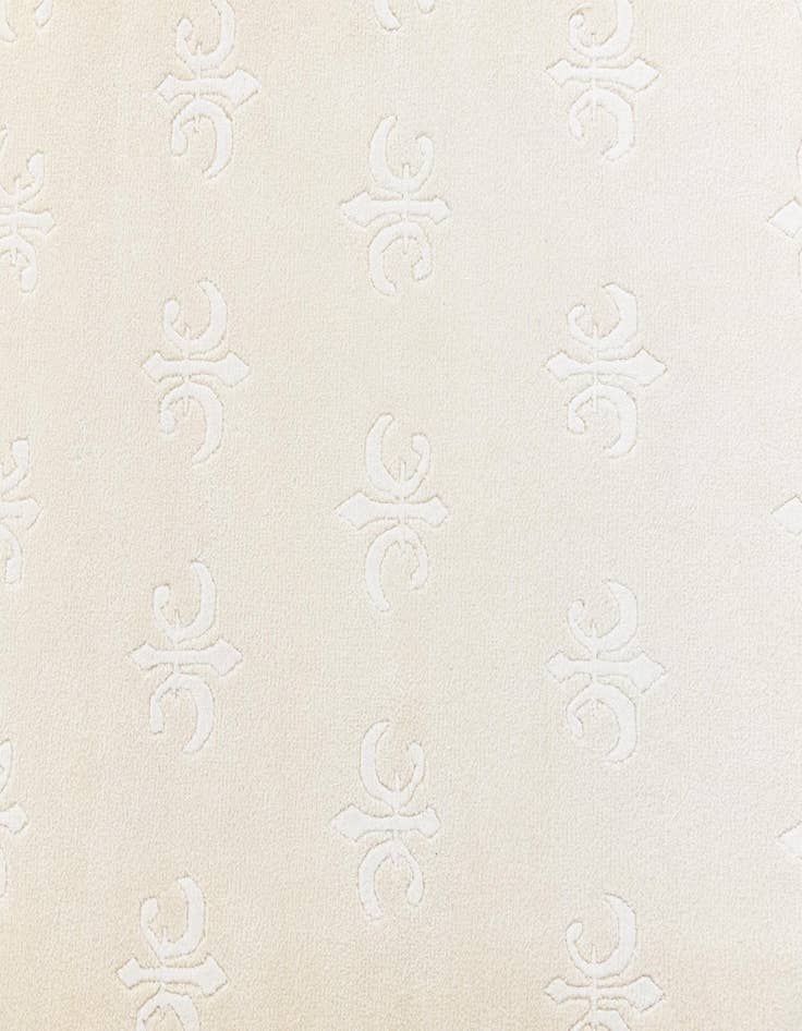 Detail image of  6' 9 x 9' 11  Hand Knotted Darya Wool Rug