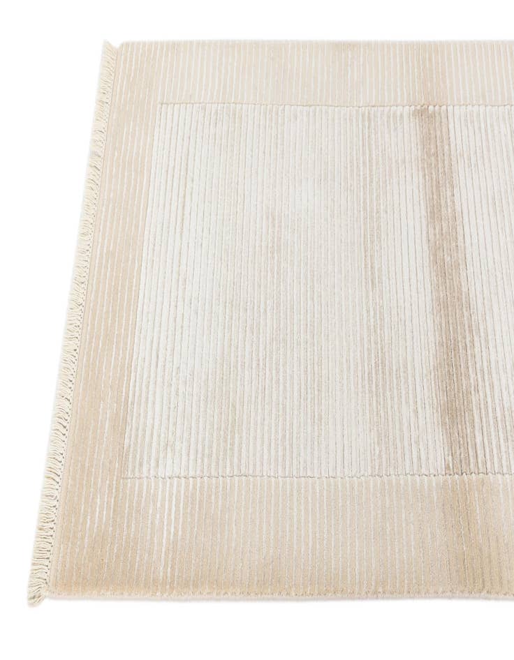 Detail image of  2' 7 x 5'  Hand Knotted Darya Wool Rug