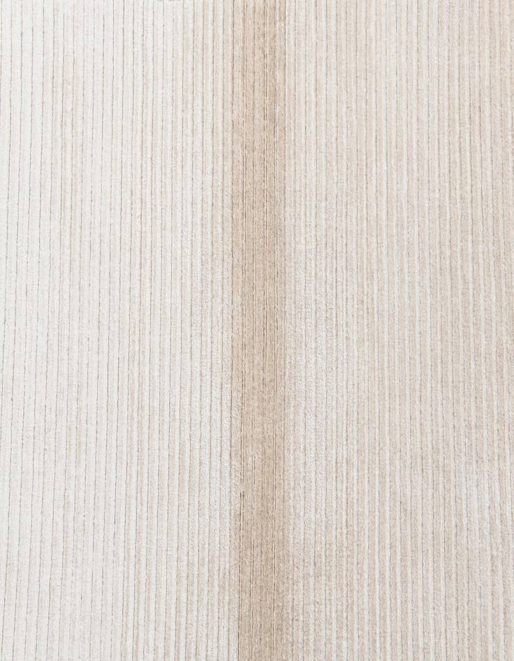 Detail image of  2' 7 x 5'  Hand Knotted Darya Wool Rug