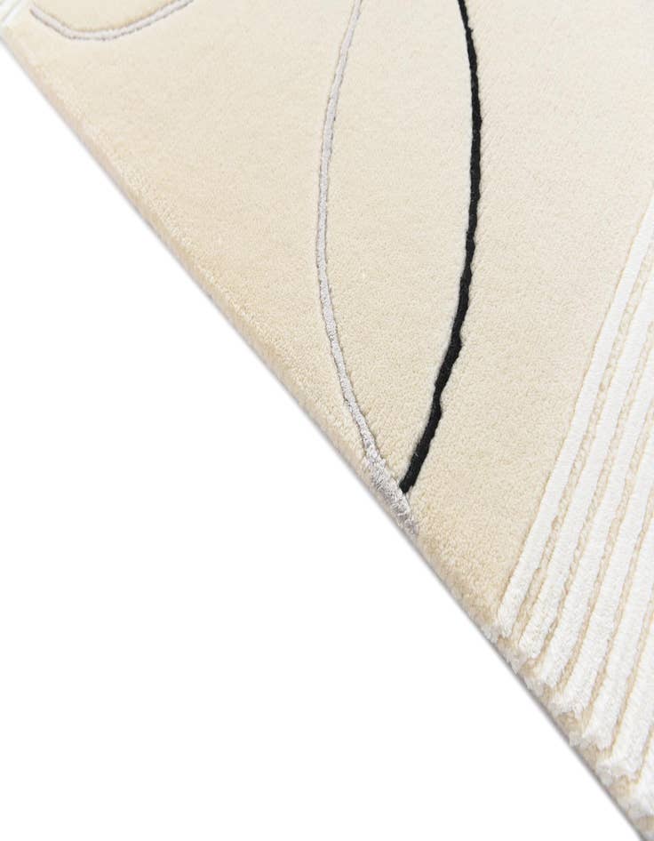 Detail image of  6' 7 x 9' 10  Hand Knotted Darya Rug