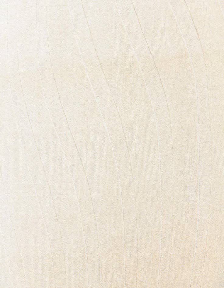 Detail image of  6' 7 x 9' 9  Hand Knotted Darya Wool Rug