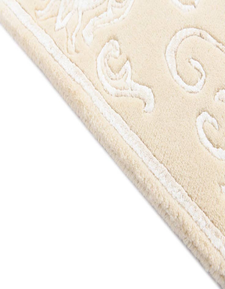 Detail image of  2' 7 x 4' 9  Hand Knotted Darya Rug