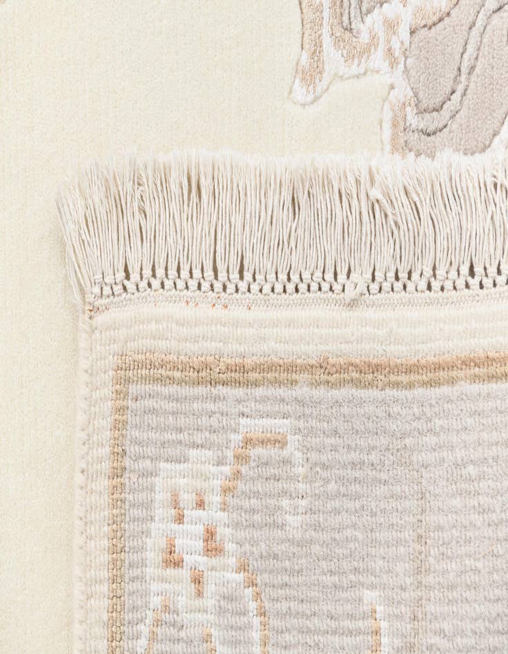 Detail image of  2' 9 x 5'  Hand Knotted Darya Rug