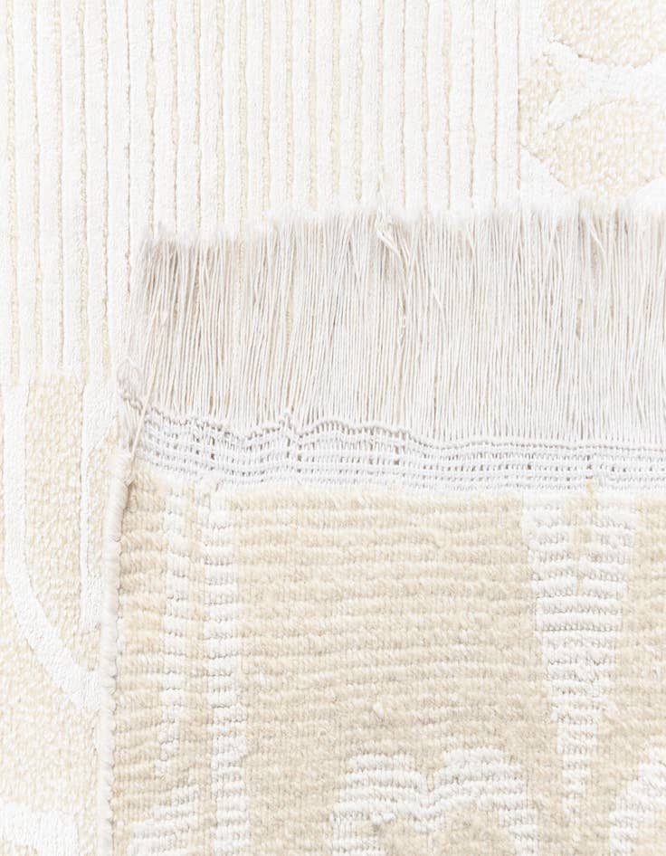 Detail image of  2' 7 x 5' 2  Hand Knotted Darya Rug