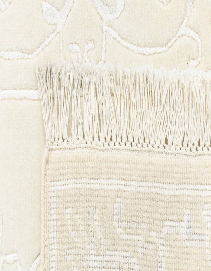 Detail image of  2' 7 x 4' 7  Hand Knotted Darya Rug