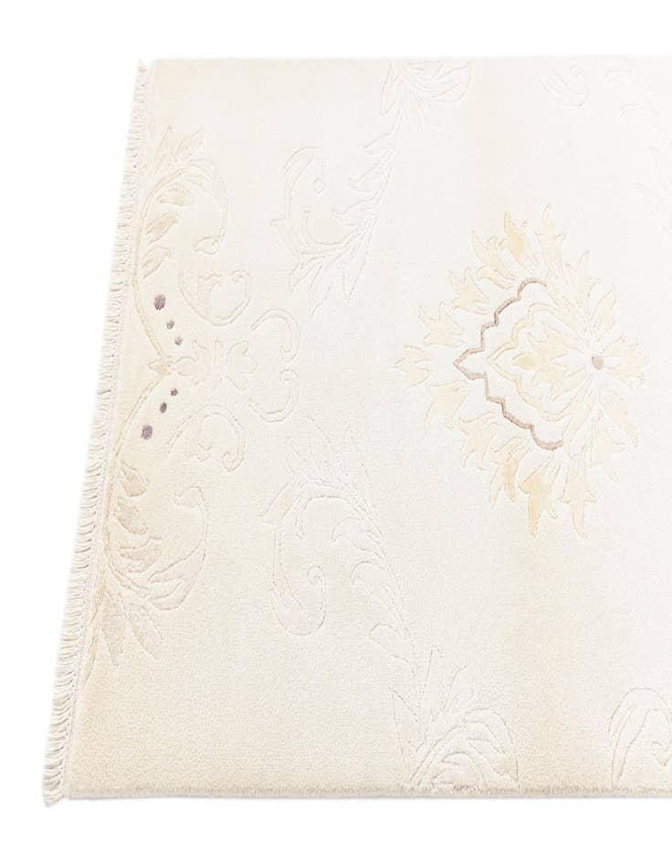 Detail image of  2' 7 x 4' 10  Hand Knotted Darya Rug