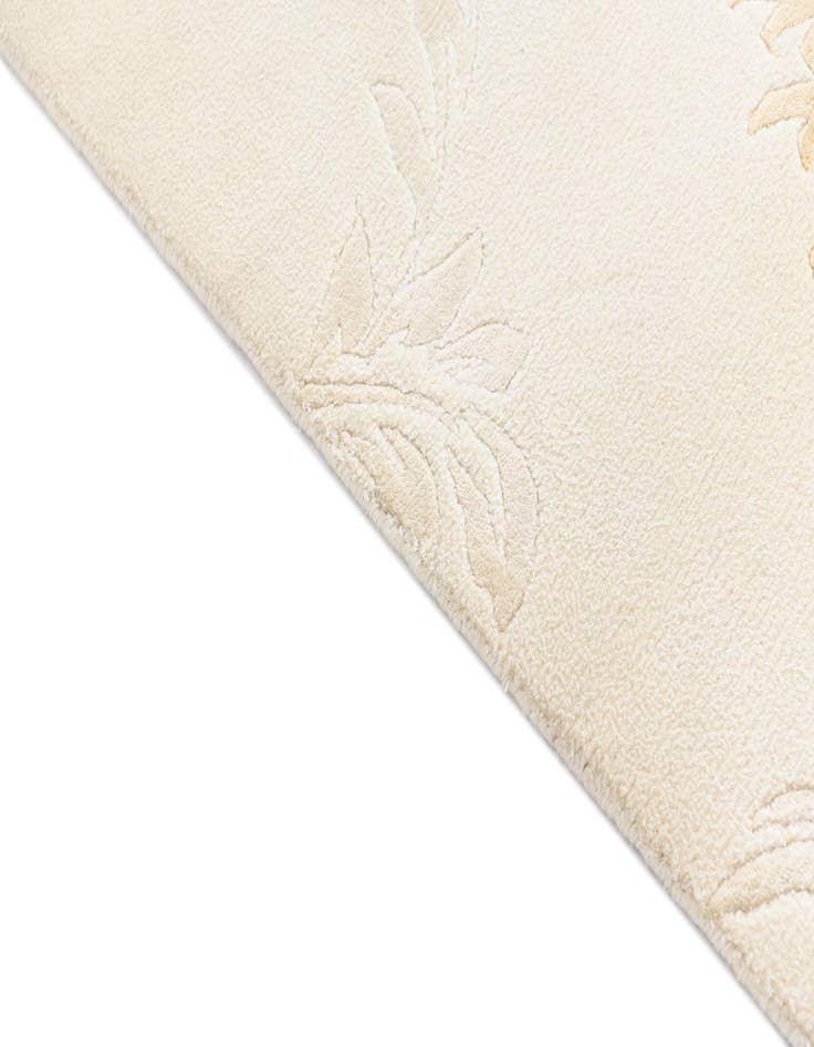 Detail image of  2' 7 x 4' 10  Hand Knotted Darya Rug