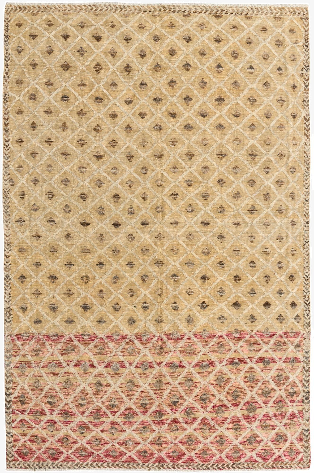  6' 6 x 9' 10  Hand Knotted Darya Wool Rug