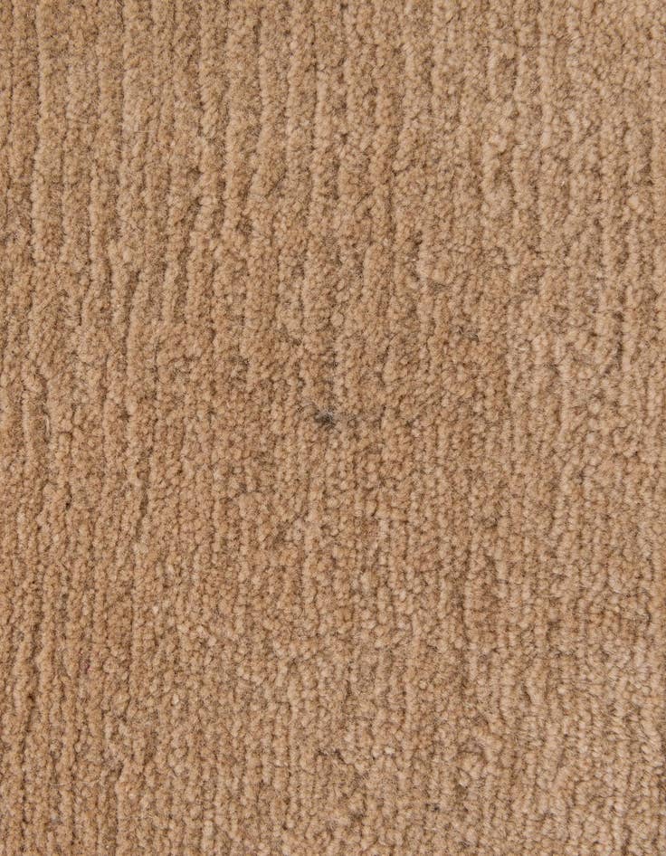 Detail image of  3' 1 x 5' 4  Hand Knotted Nepal Wool Rug