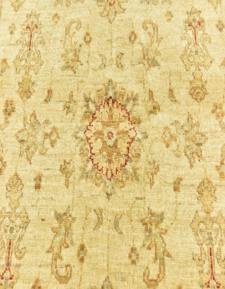 Detail image of  3' 3 x 4' 11  Hand Knotted Peshawar Ziegler Rug