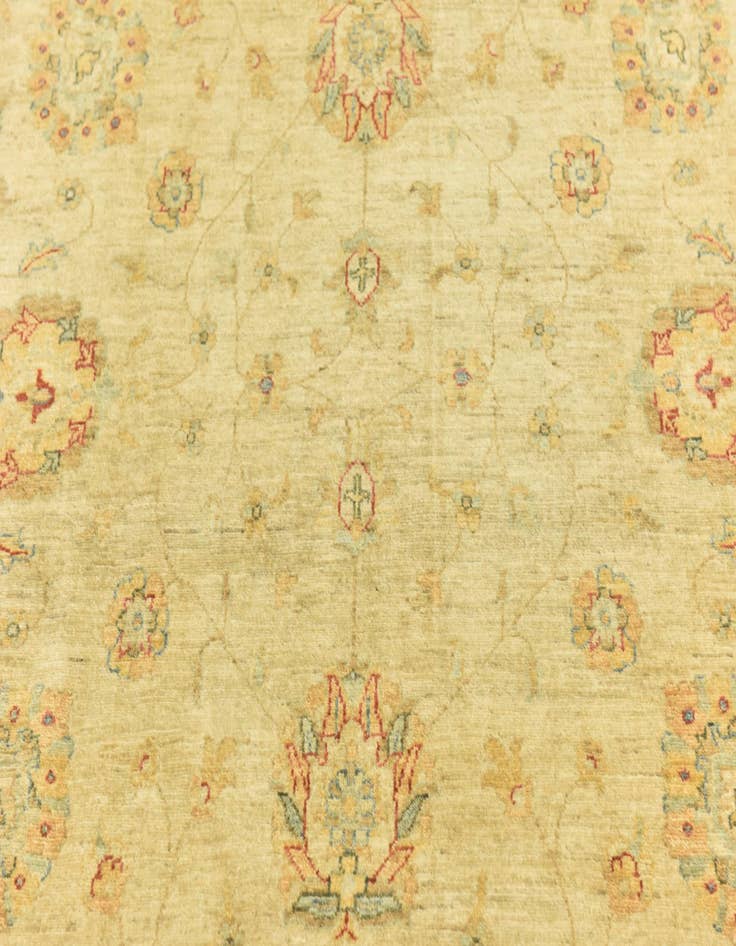 Detail image of  6' 4 x 9' 7  Hand Knotted Peshawar Ziegler Rug