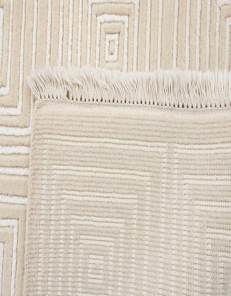 Detail image of  2' 7 x 9' 10  Hand Knotted Darya Wool Runner Rug