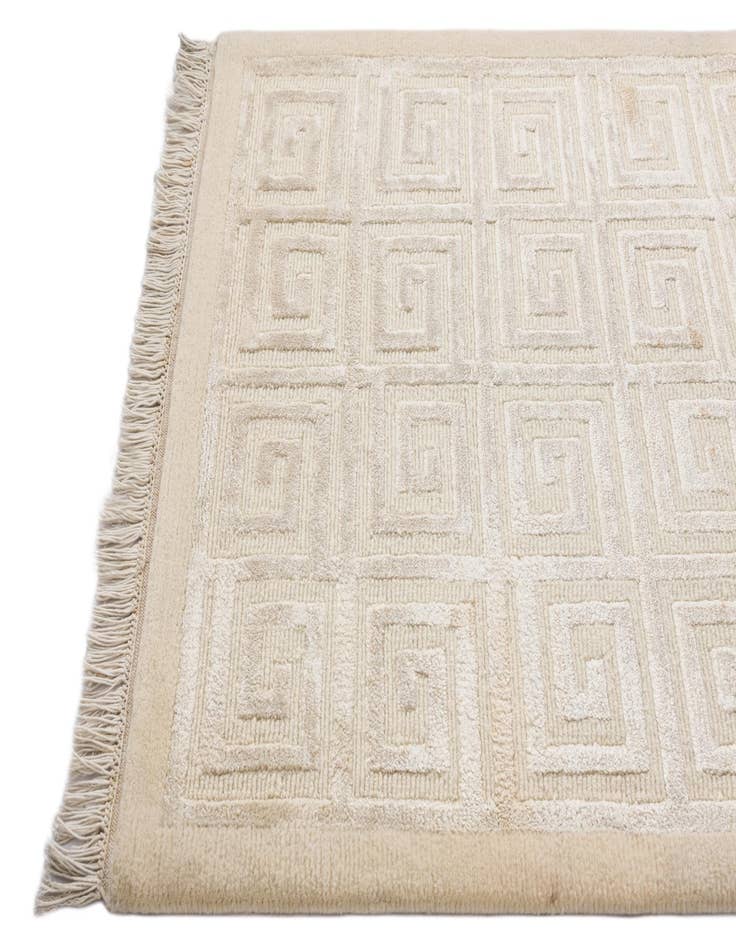 Detail image of  2' 10 x 9' 10  Hand Knotted Darya Wool Runner Rug