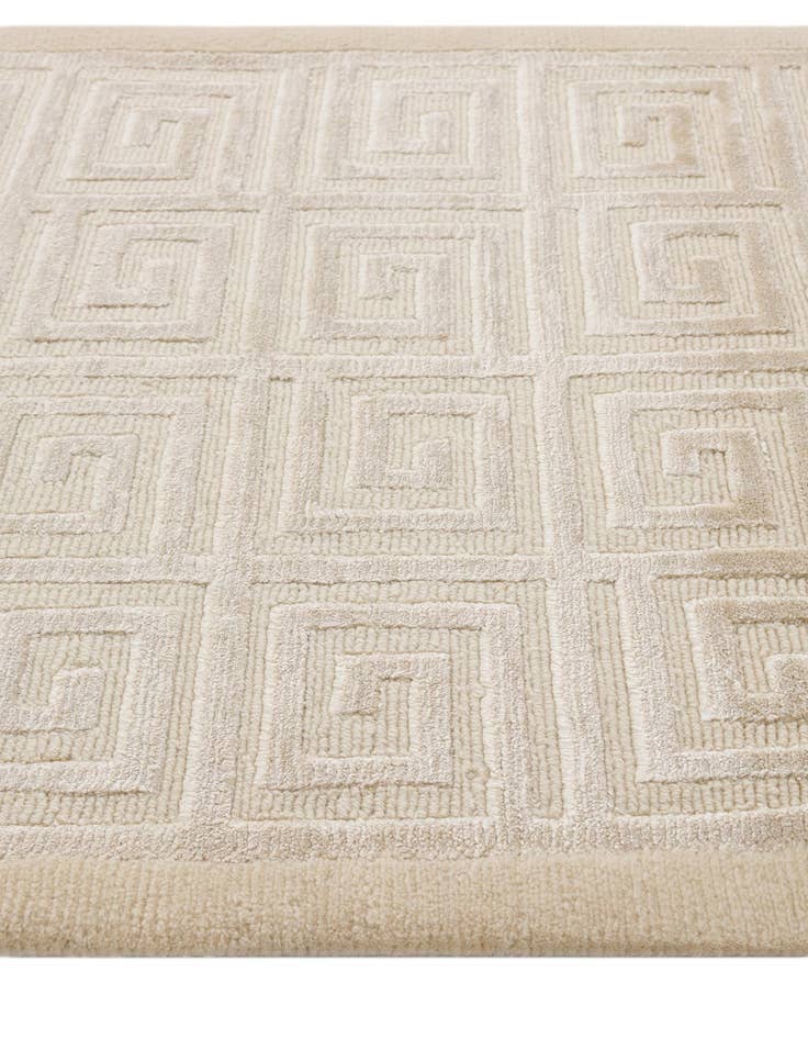 Detail image of  2' 10 x 9' 10  Hand Knotted Darya Wool Runner Rug