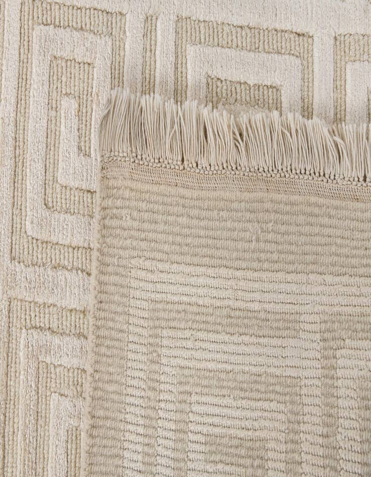 Detail image of  2' 10 x 9' 10  Hand Knotted Darya Wool Runner Rug