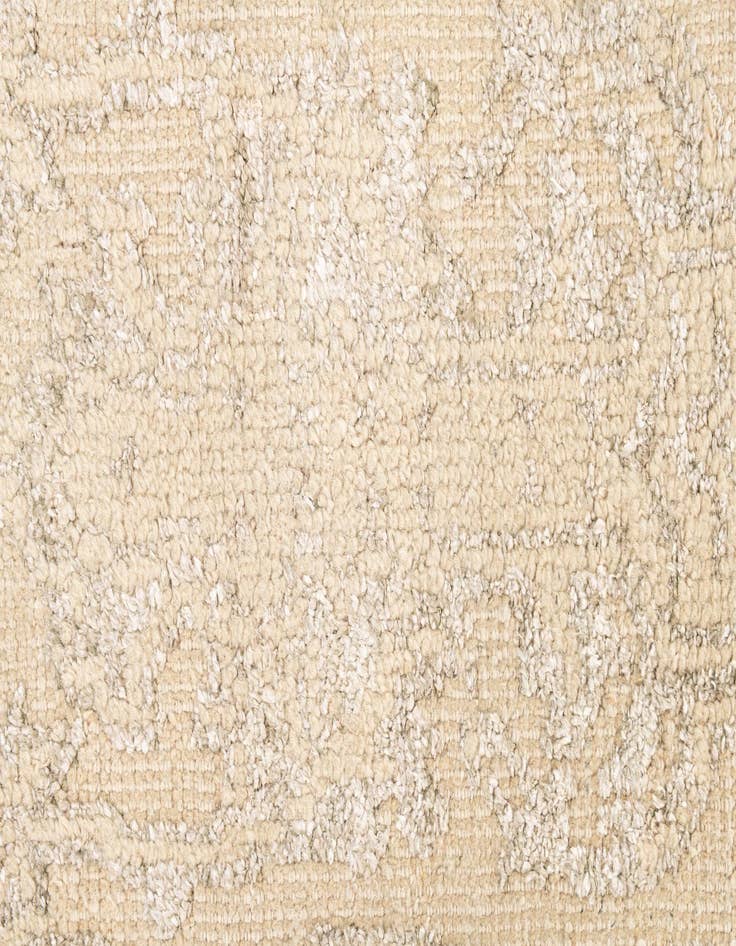 Detail image of  2' 7 x 8' 9  Hand Knotted Darya Runner Rug