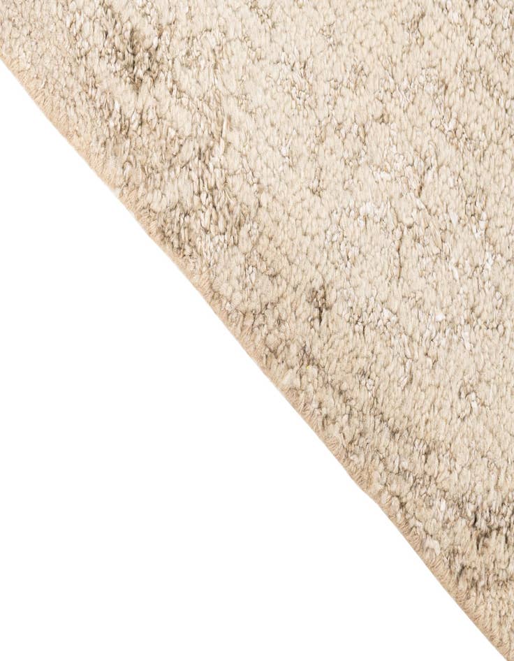 Detail image of  2' 10 x 8' 9  Hand Knotted Darya Runner Rug