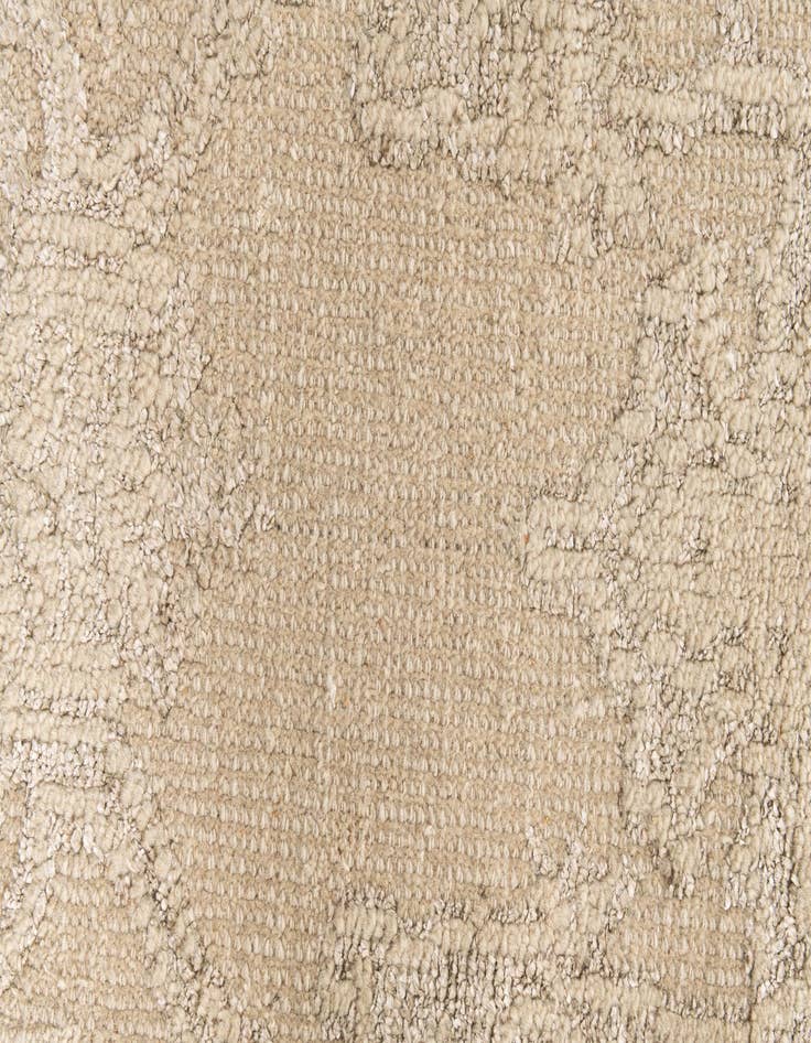 Detail image of  2' 9 x 8' 8  Hand Knotted Darya Runner Rug