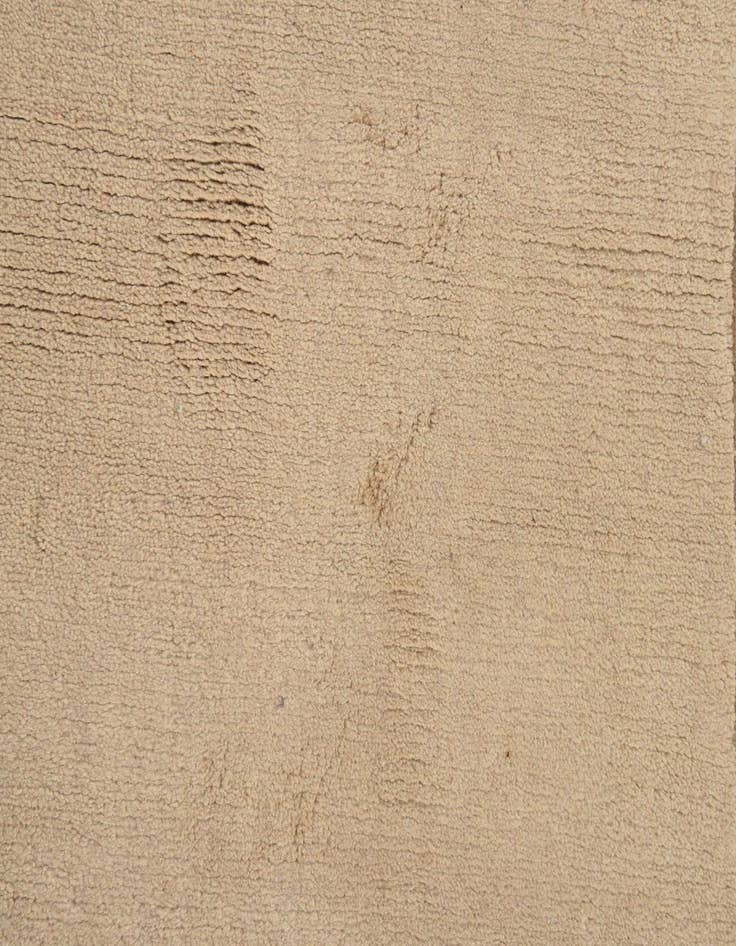 Detail image of  2' 7 x 9' 7  Hand Knotted Nepal Wool Runner Rug