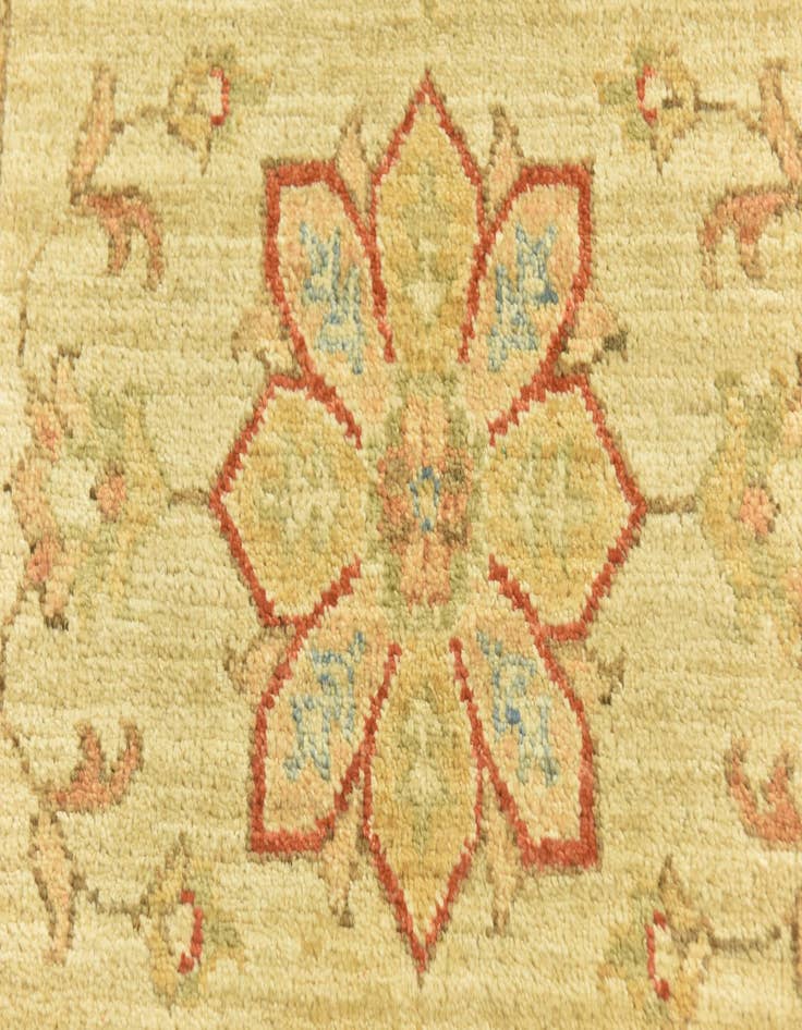 Detail image of  2' 6 x 6' 9  Hand Knotted Peshawar Ziegler Runner Rug