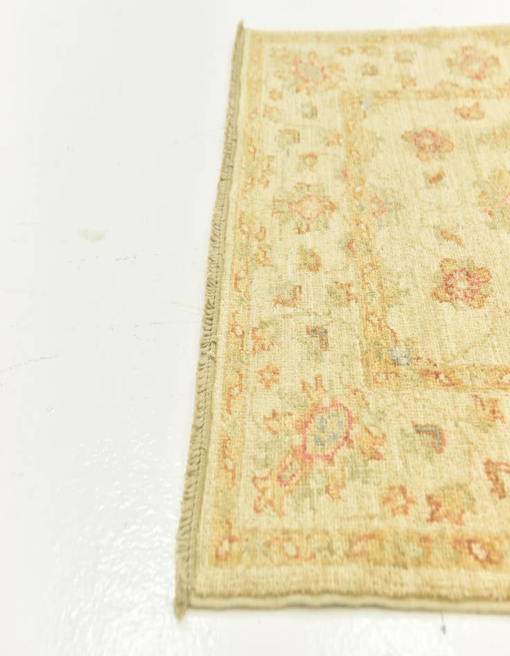 Detail image of  2' 9 x 16' 3  Hand Knotted Peshawar Ziegler Runner Rug