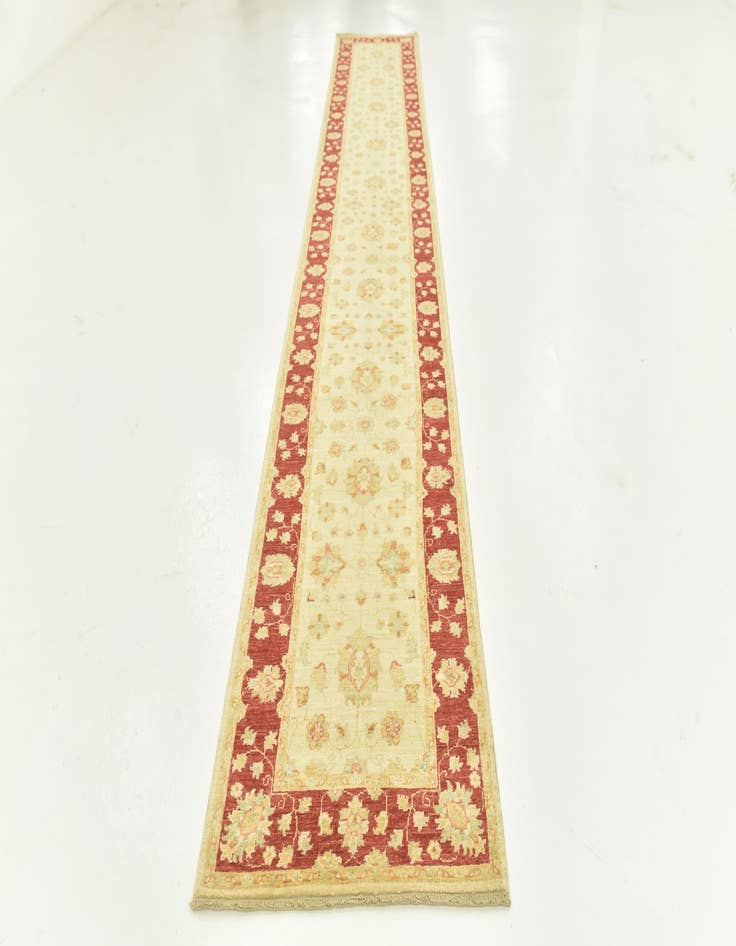 Detail image of  2' 7 x 16' 1  Hand Knotted Peshawar Ziegler Runner Rug