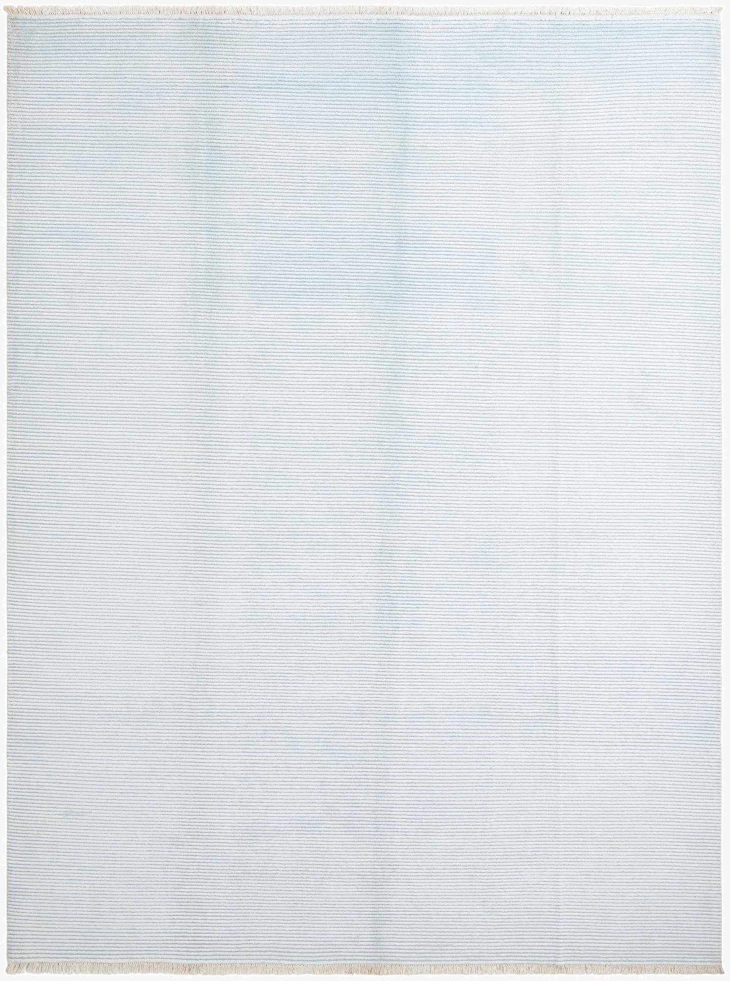  9' 11 x 13'  Hand Knotted Darya Wool Rug